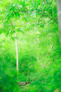 BIB: 
                            <button type="button" onclick="openModal(22090620)" class="btn btn-primary btn-sm float-right btn-popup" data-toggle="modal" data-target=".modal-high-quality">
                        <i class="fas fa-shopping-cart"></i> Add to Cart
                    </button>
                                            <button type="button" onclick="isThisMe(22090620, true)" class="btn btn-success btn-sm float-right btn-popup btn-isme hidden" data-toggle="tooltip" data-placement="bottom" title="นี่คือรูปของคุณใช่ไหม คลิกที่นี่เพื่อเอาเข้าอัลบั้ม">
                        <i class="fas fa-plus"></i> Add to album
                    </button>
                    <button type="button" onclick="isThisMe(22090620, false)" class="btn btn-warning btn-sm float-right btn-popup btn-isnotme hidden">
                        <i class="fas fa-ban"></i> Remove from album
                    </button>